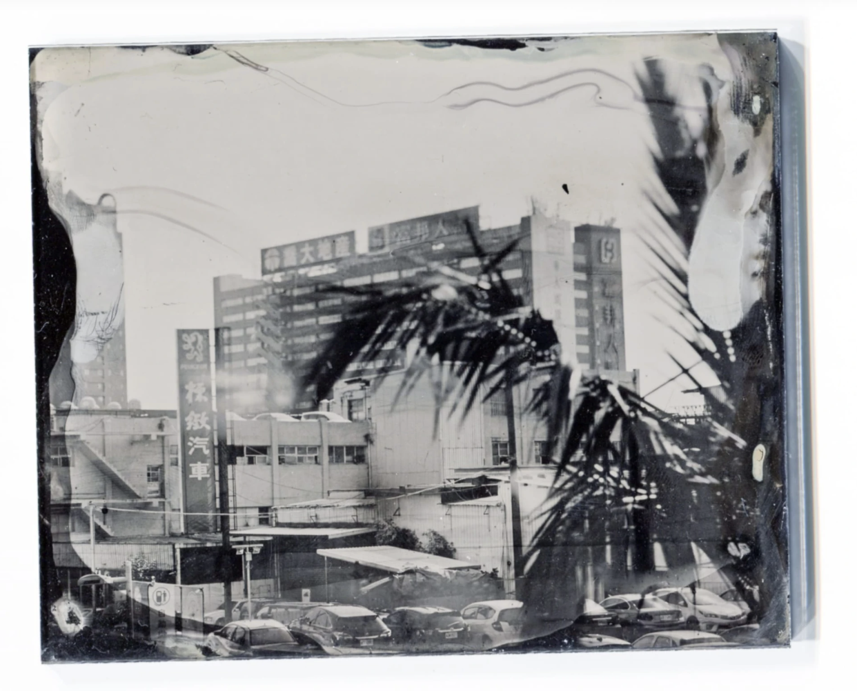 Wet plate Collodion